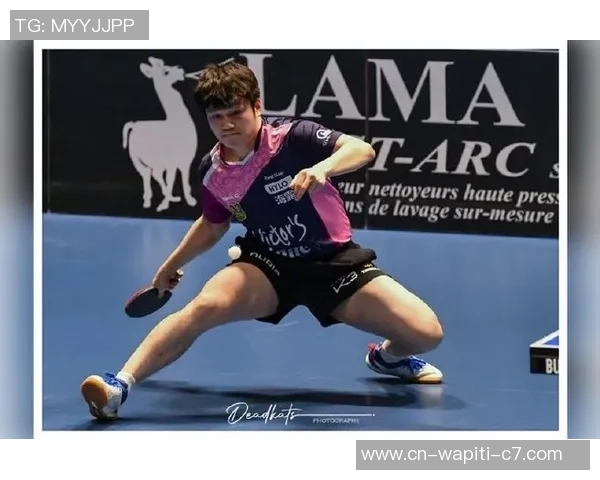 樊振东欧冠开门红！复刻C罗Siu庆祝引发热议，背面有多少尽力？